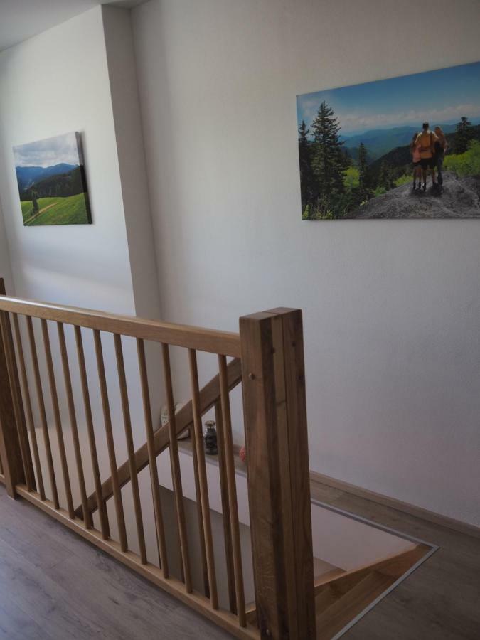 Dolni Morava - Apartmany Eksteriør bilde